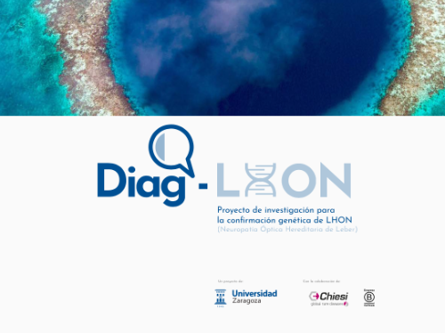 Diag-LHON: Proyecto de diagnóstico